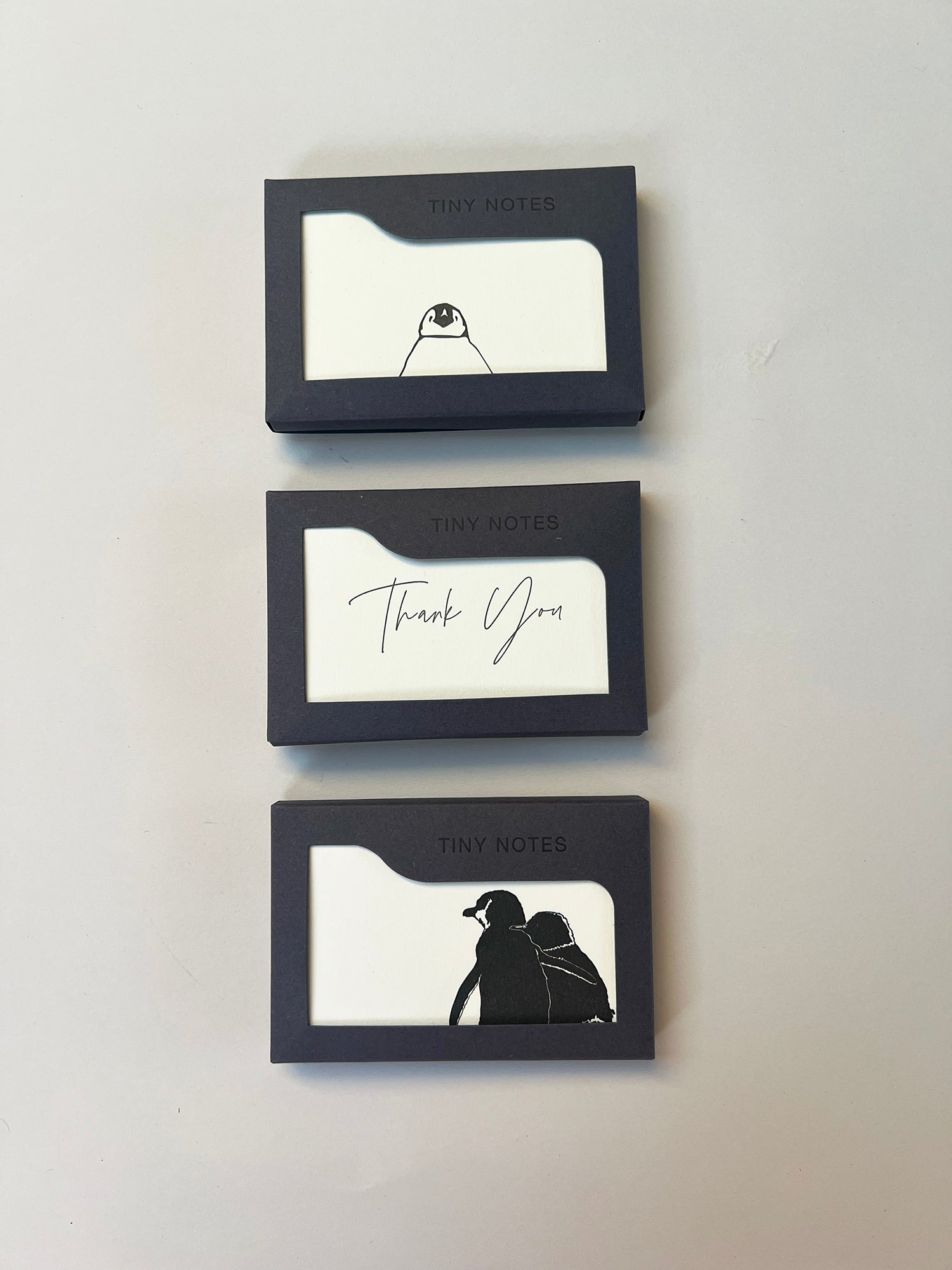 Tiny Notes | Boxed Mini Cards