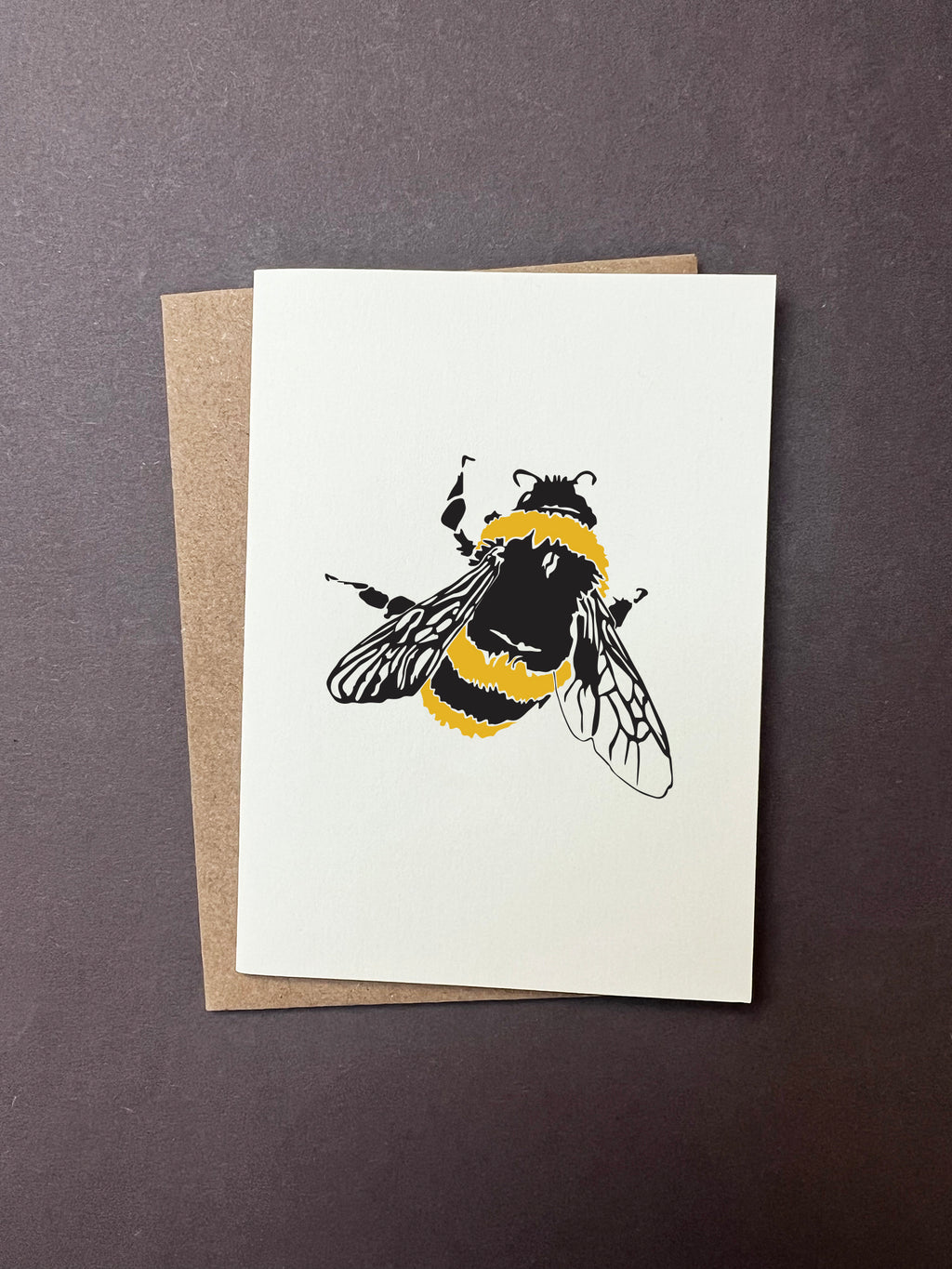 Insect Notecard Set | Set of 8