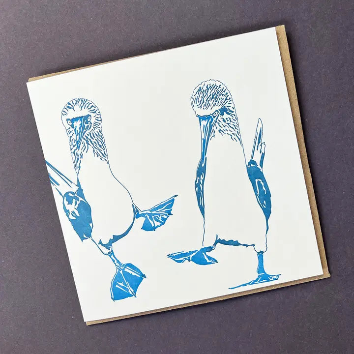 Blue Footed Boobie Letterpress Card