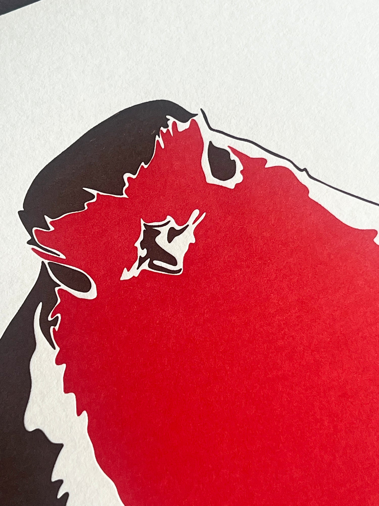 Robin Letterpress Card