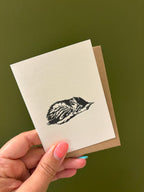 Pussycats Notecard Set | Set of 8
