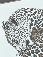 Leopard Letterpress Card