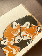 Red Panda Letterpress Card