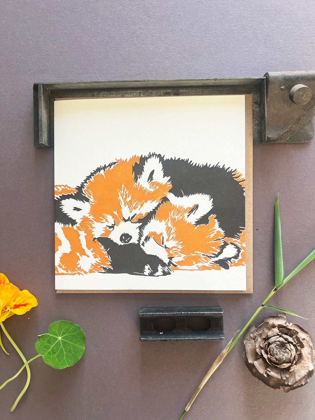 Red Panda Letterpress Card