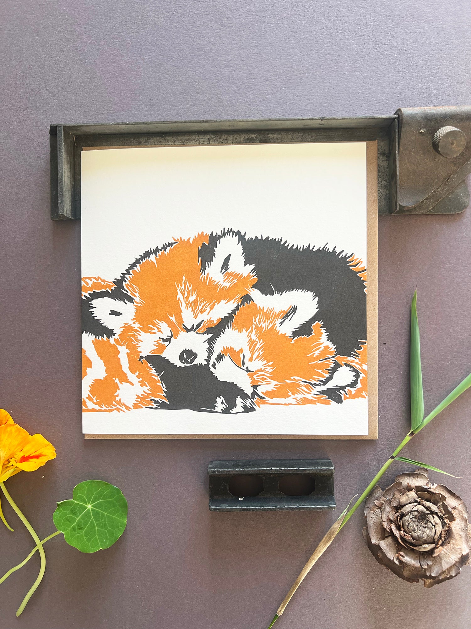 Red Panda Letterpress Card
