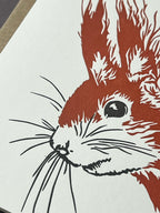 Cheeky Red Squirrel Letterpress Card