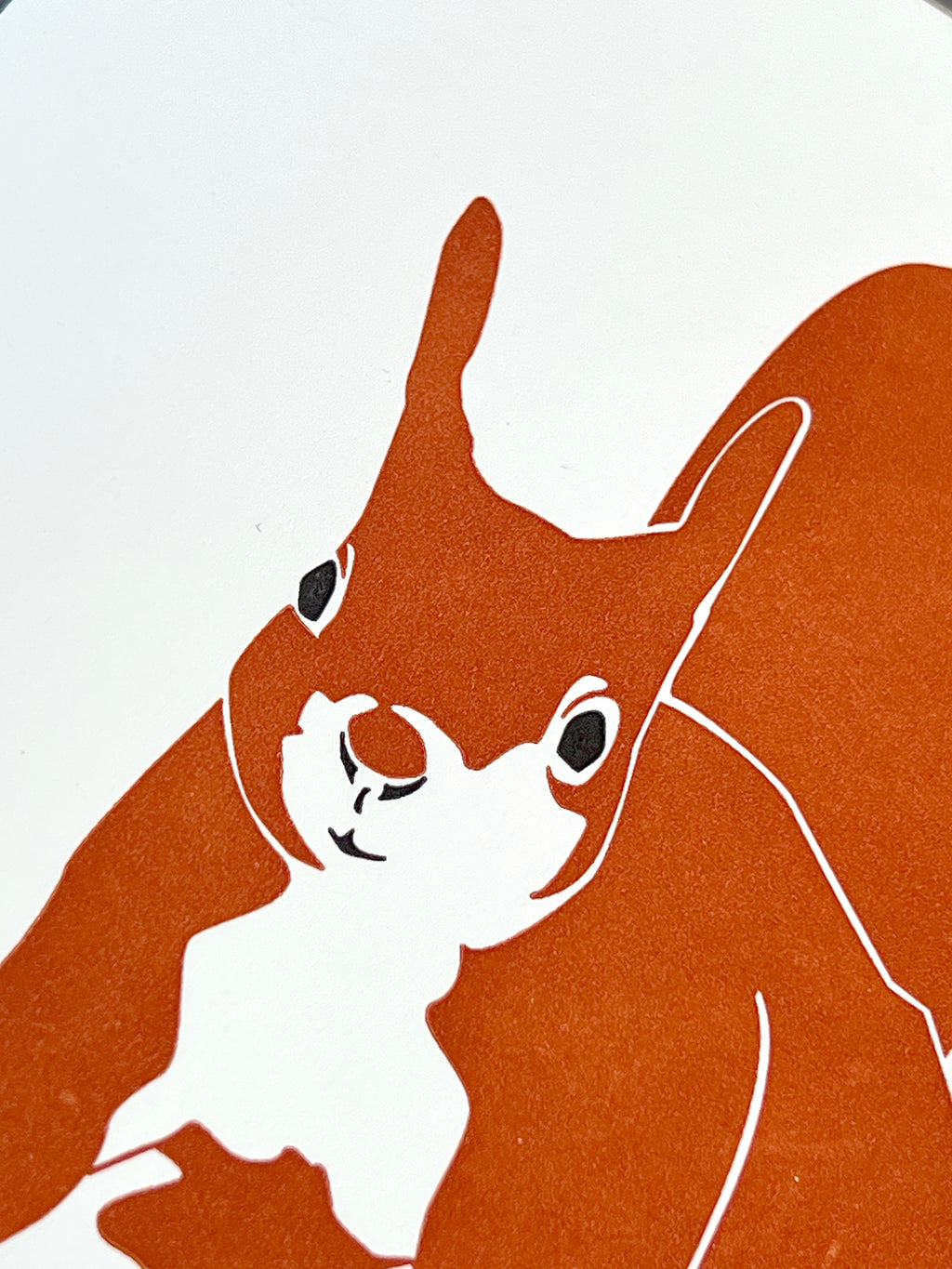 Squirrel Letterpress Card