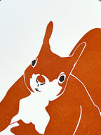 Squirrel Letterpress Card