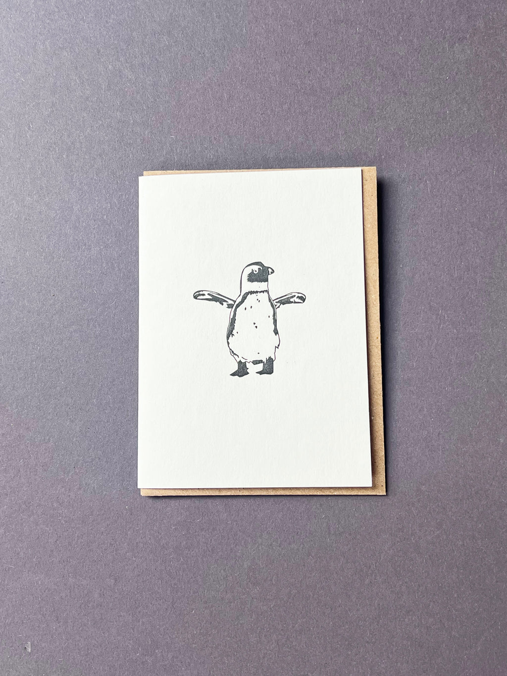 African Penguin Card