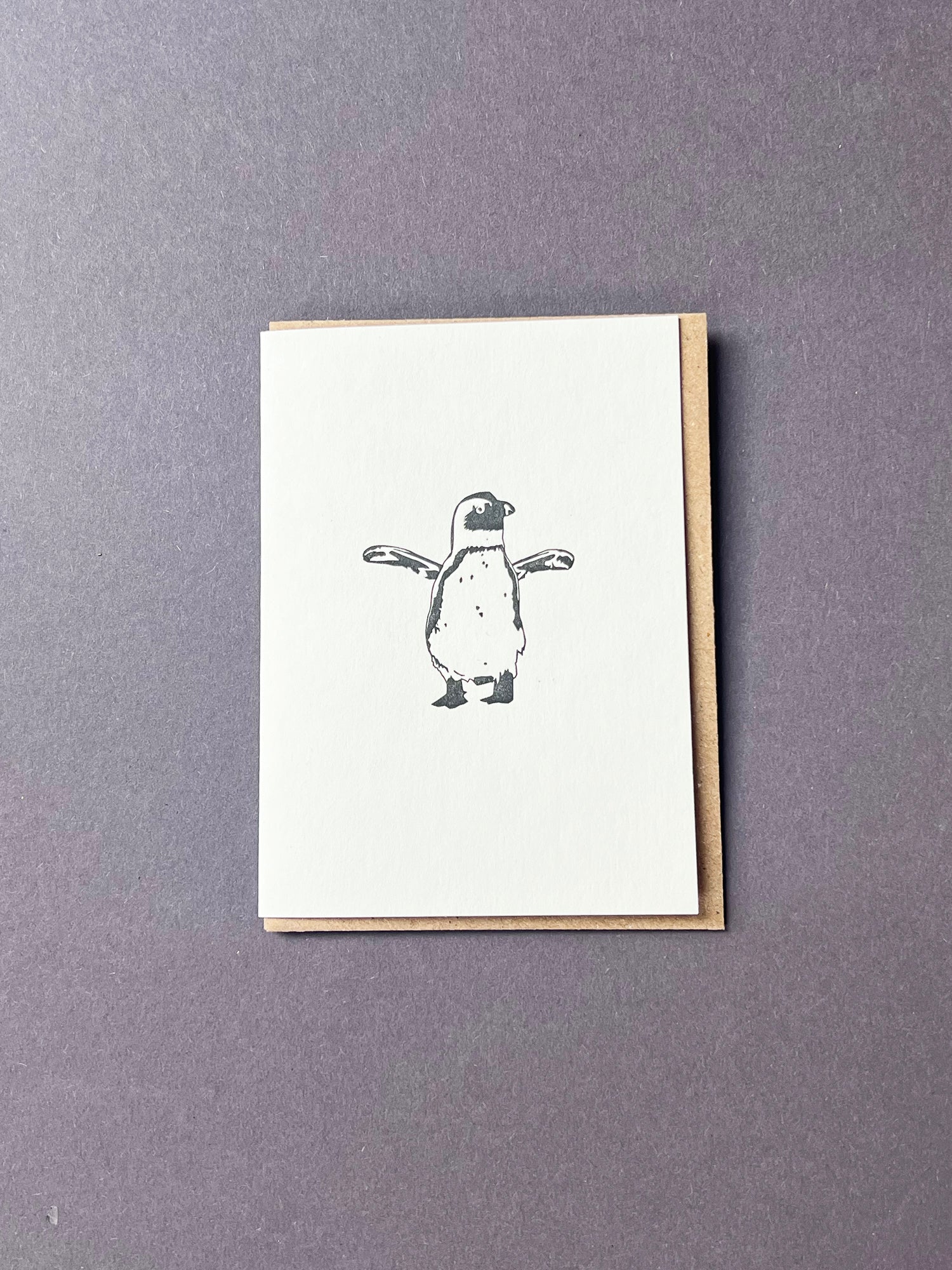 African Penguin Card