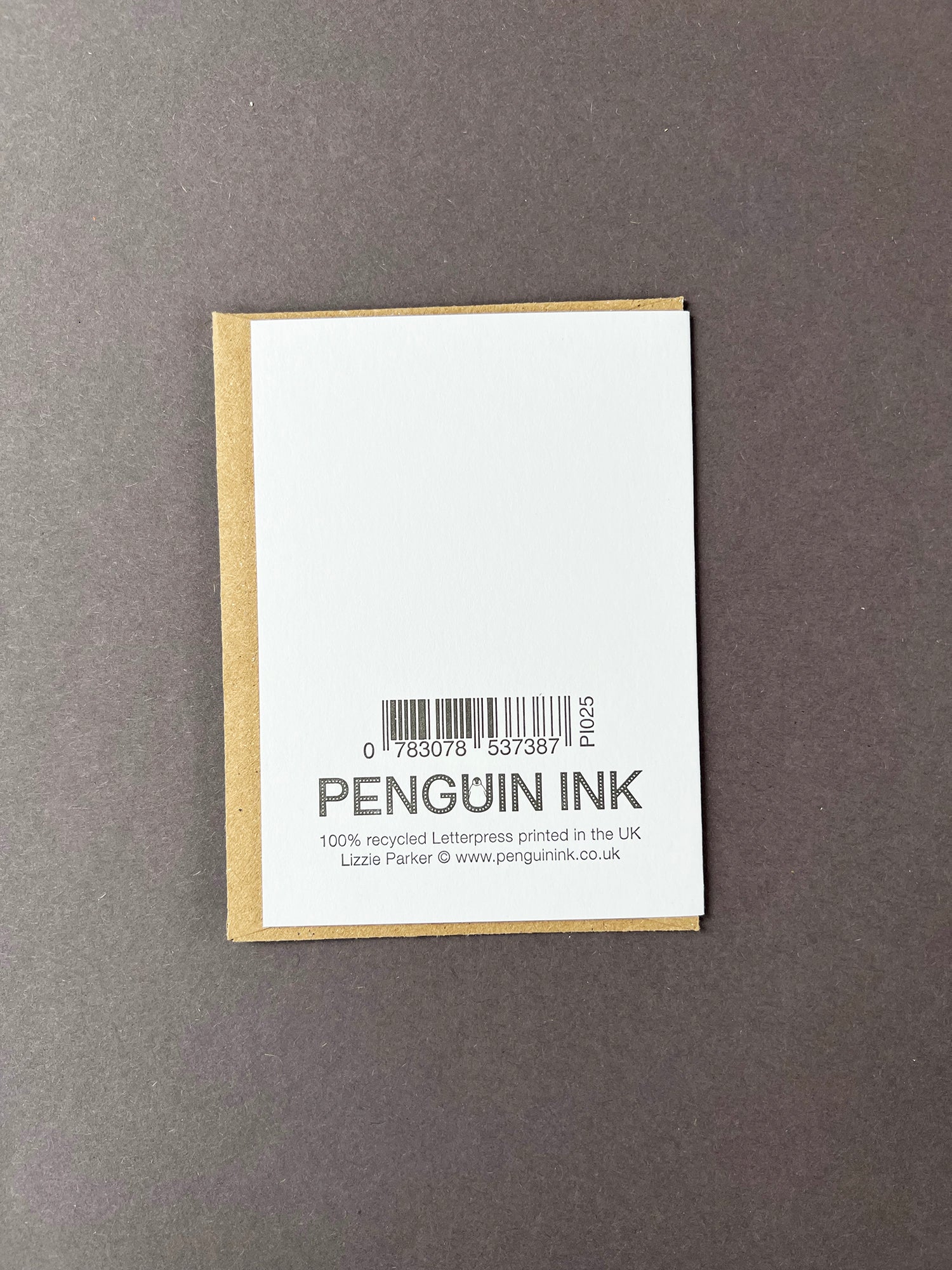 Chinstrap Penguin Card