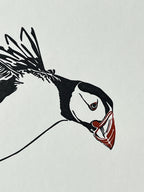 Puffin Landing Letterpress Card