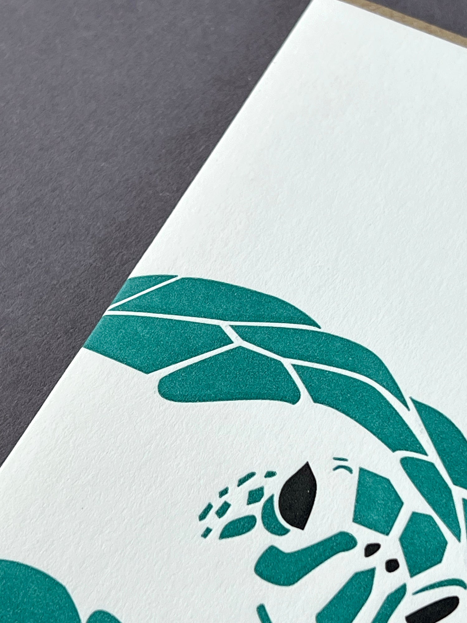 Green Turtle Letterpress Card