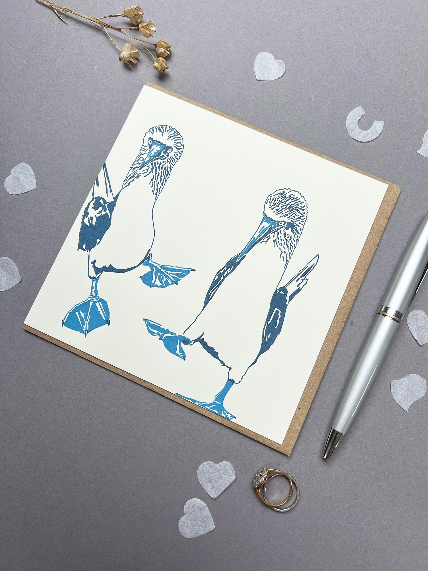 Blue Footed Boobie Letterpress Card