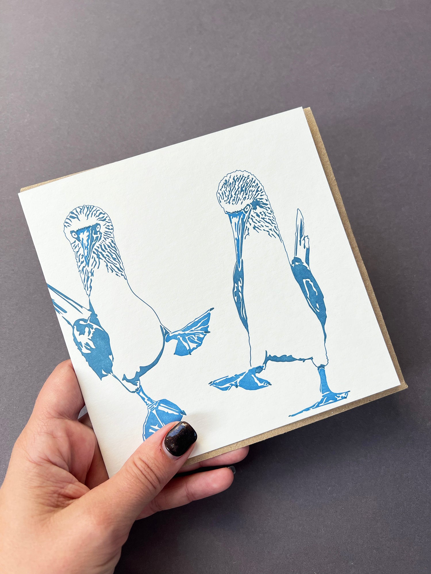 Blue Footed Boobie Letterpress Card