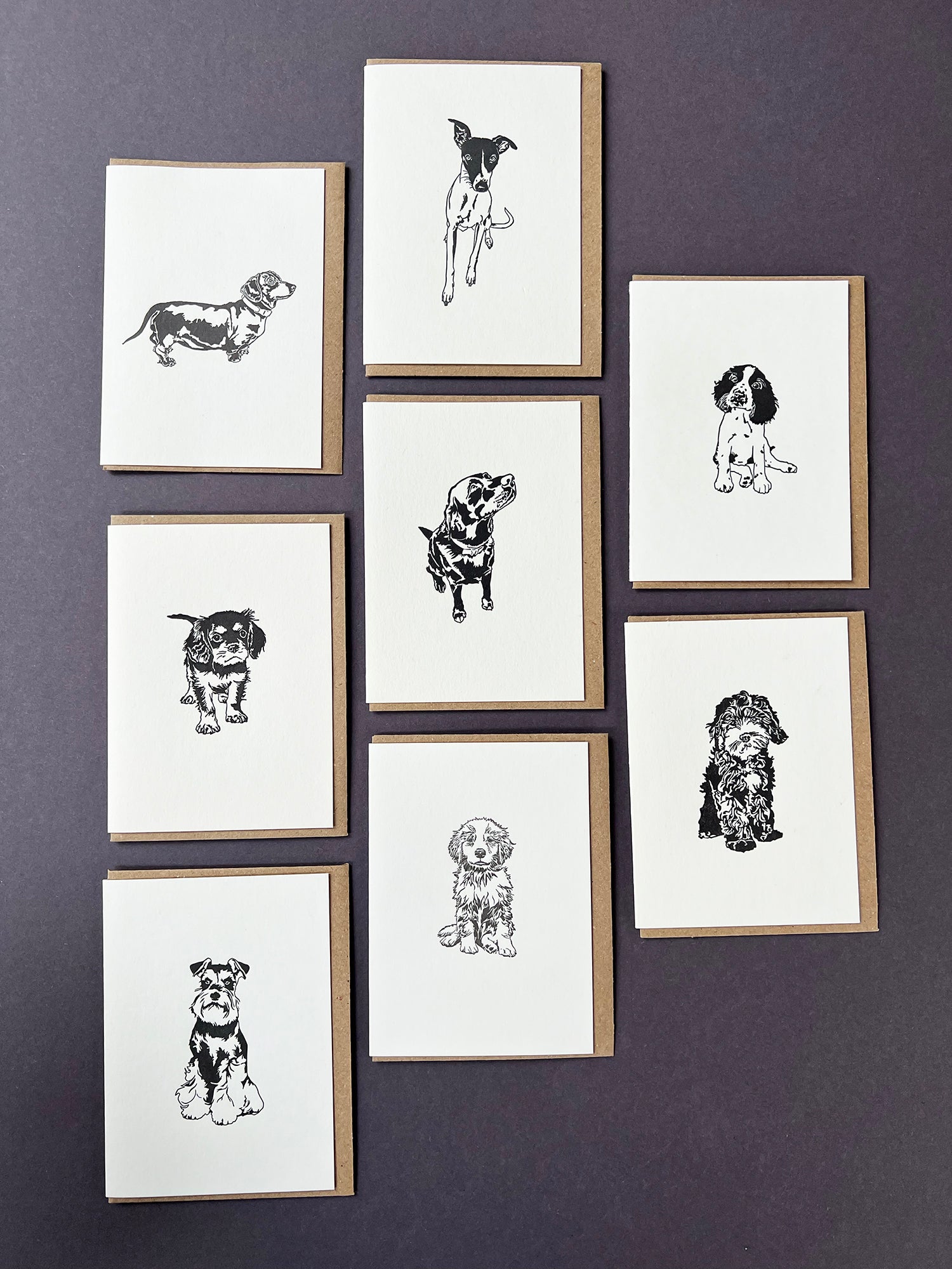 Miniature Schnauzer Card