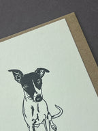Whippet Card