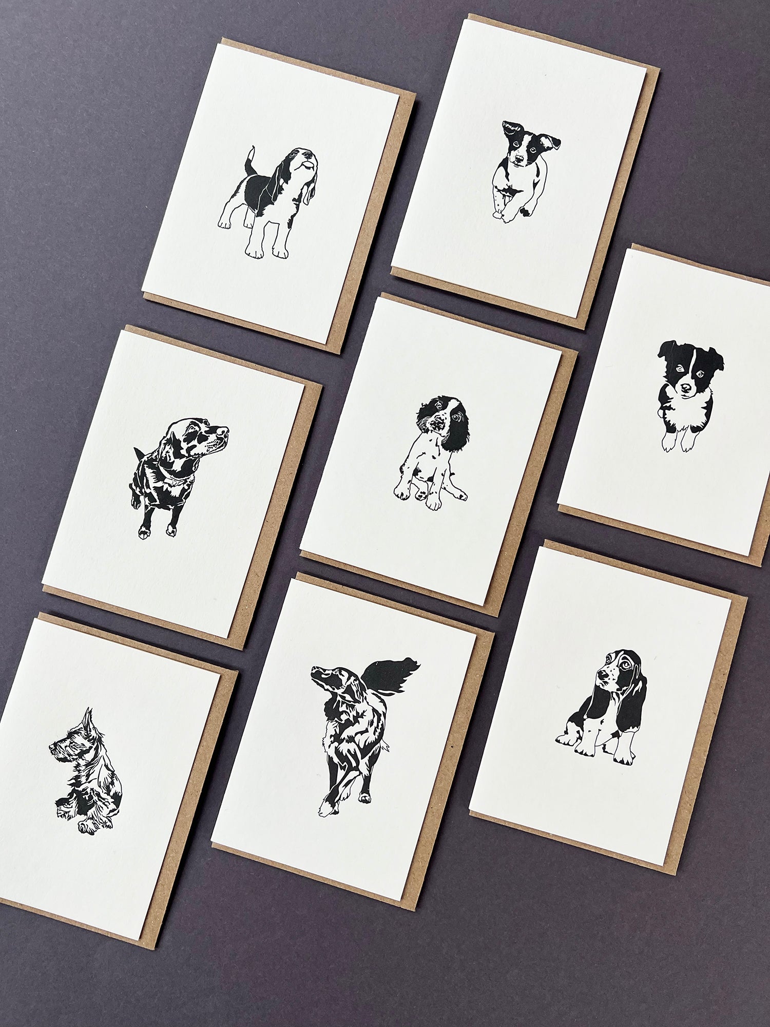 Springer Spaniel Card