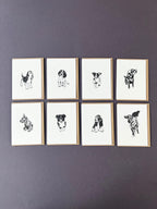 Springer Spaniel Card