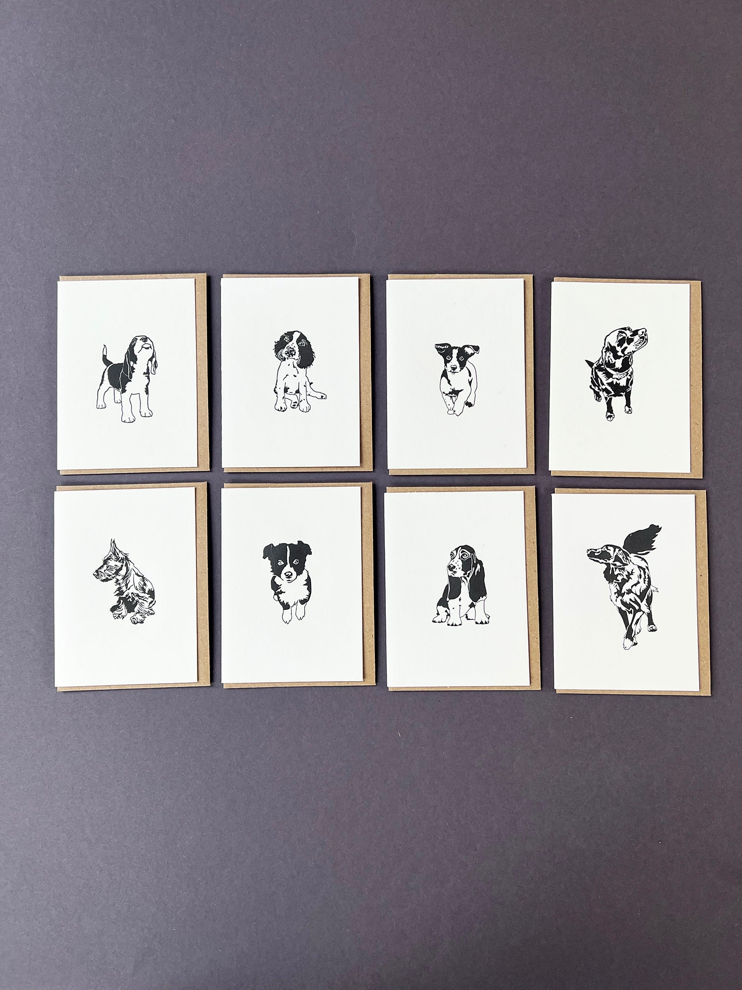 Springer Spaniel Card