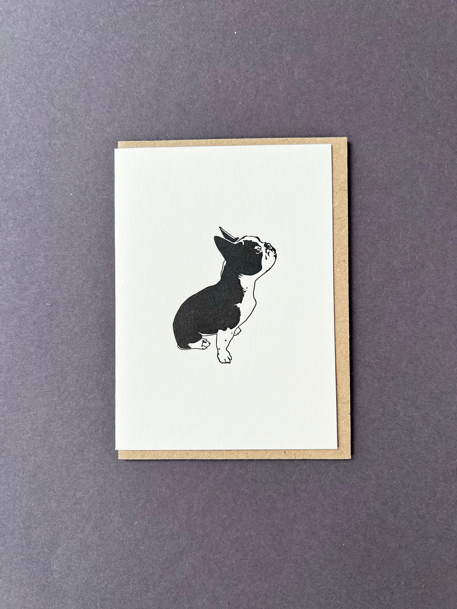 Boston Terrier Card