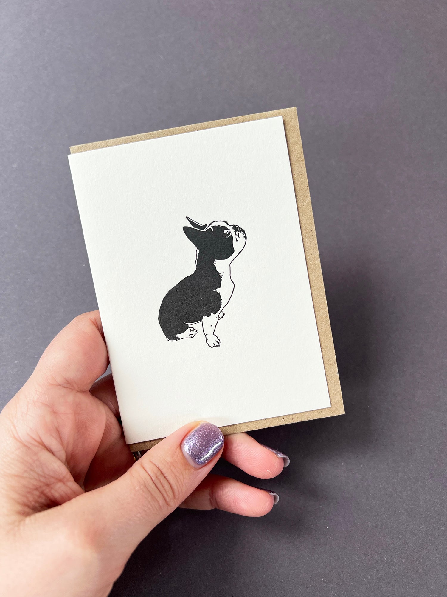 Boston Terrier Card
