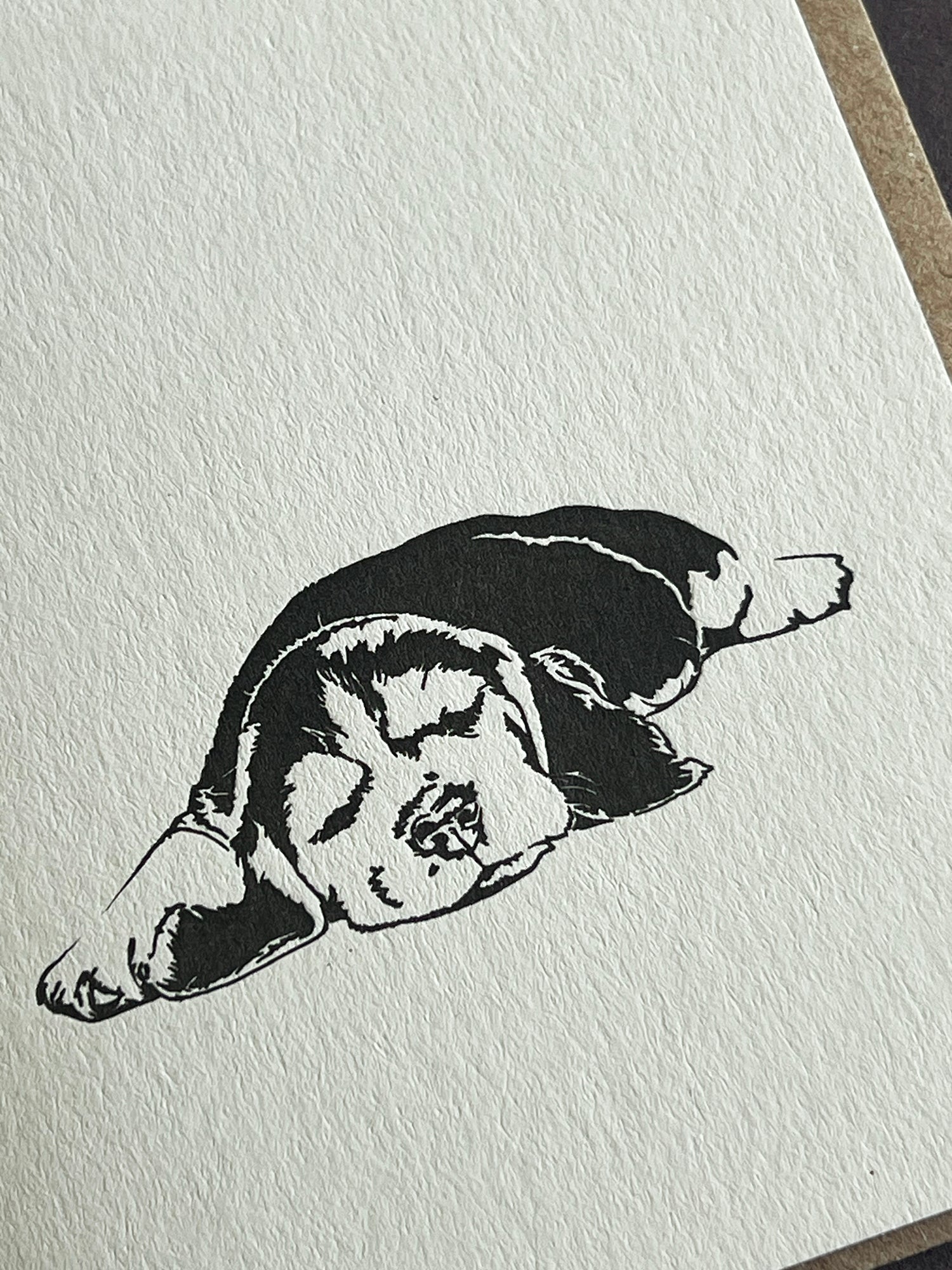 Sleeping Beagle Card