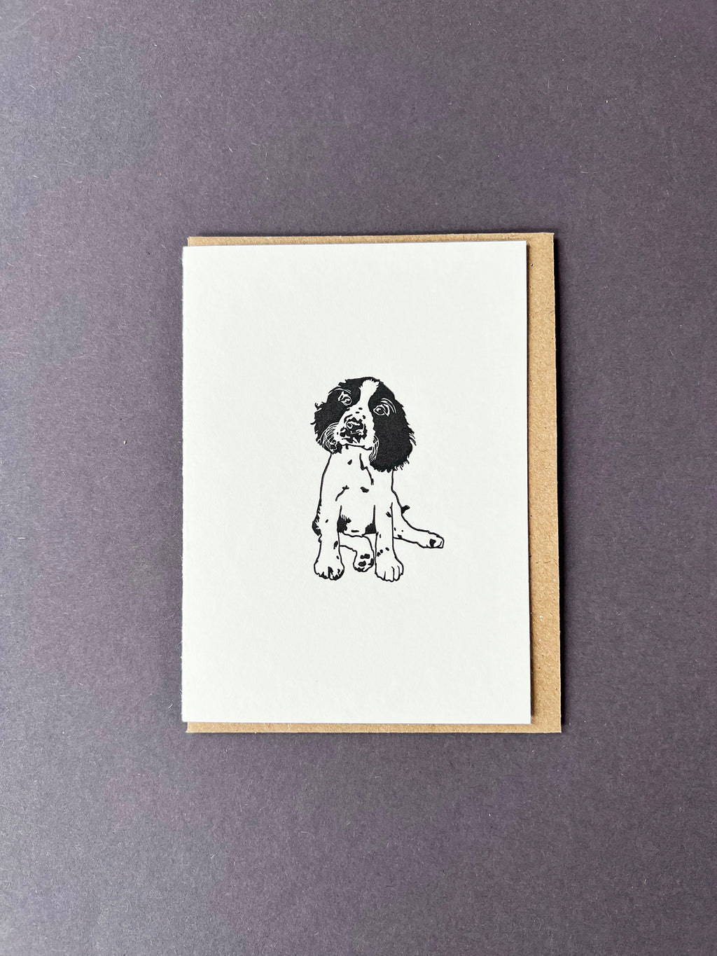 Springer Spaniel Card