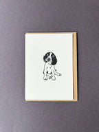 Springer Spaniel Card