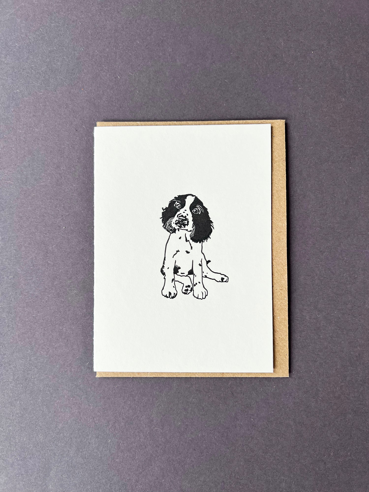 Springer Spaniel Card