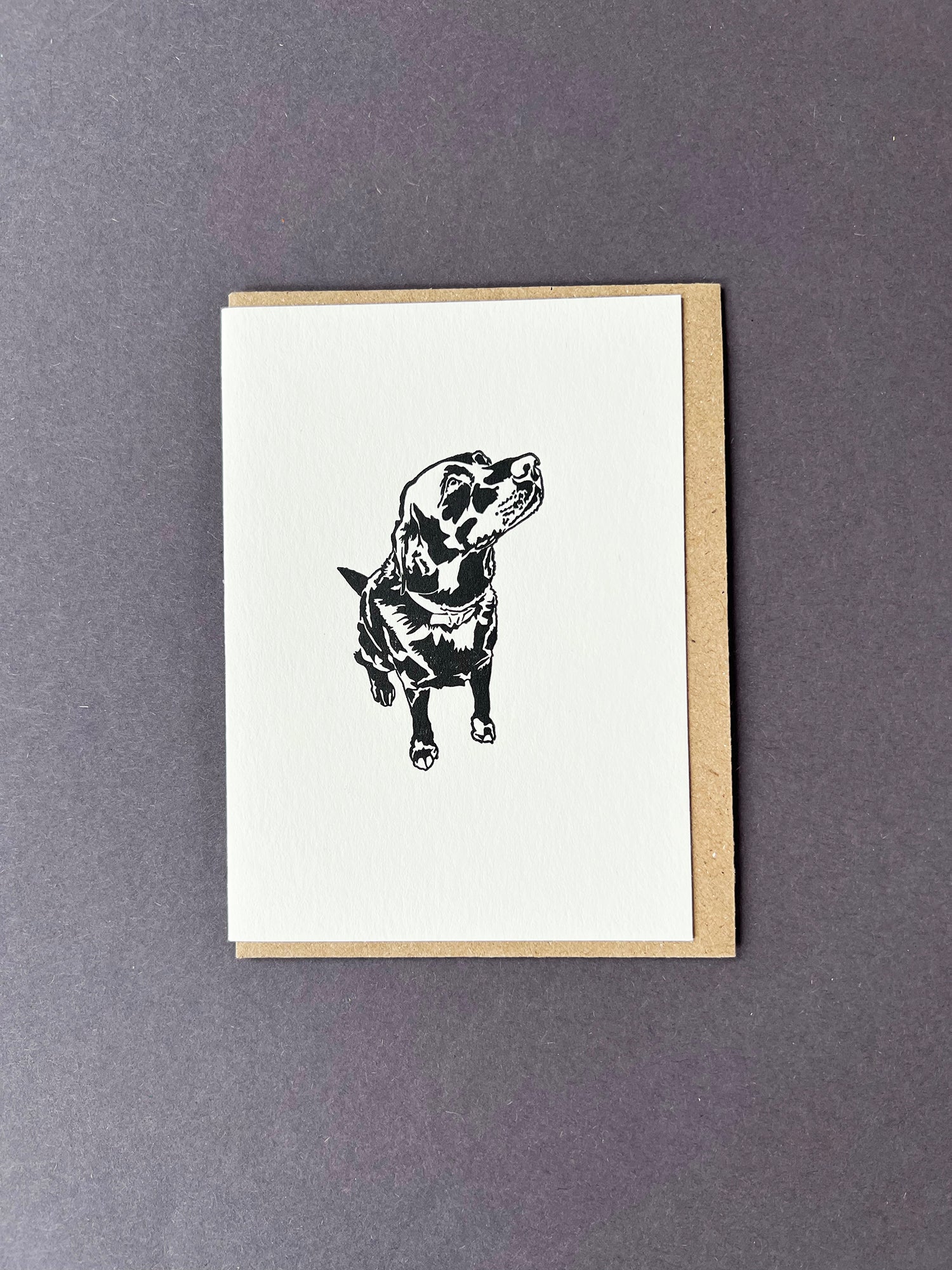 Labrador Card