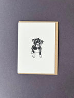 Boxer Card