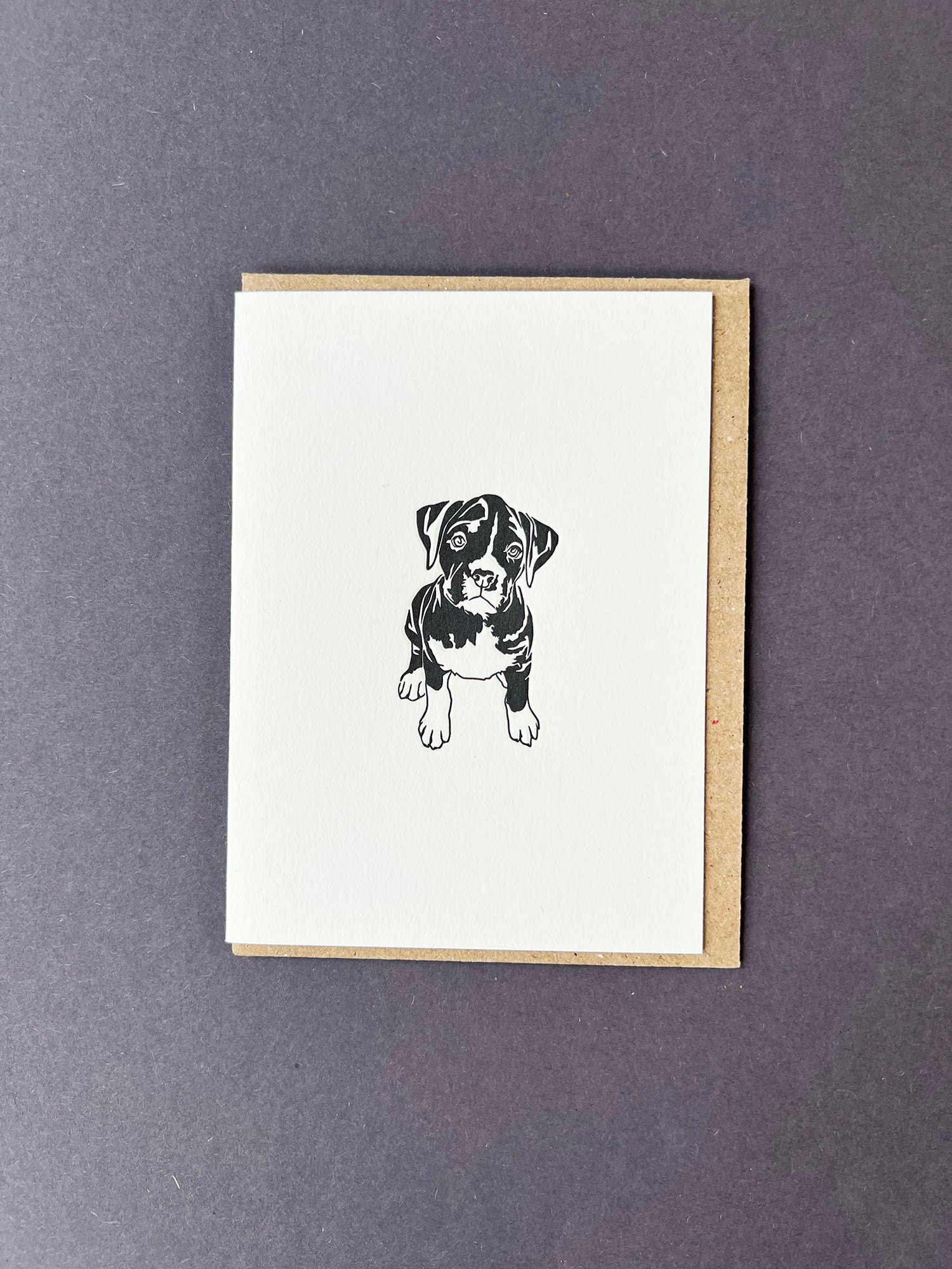 Boxer Card