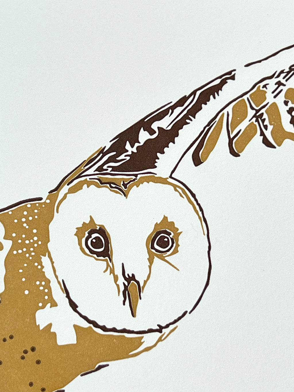 Barn Owl Letterpress Card
