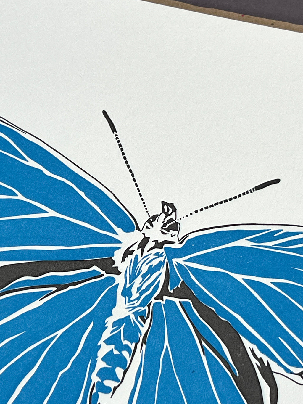 Adonis Blue Butterfly Letterpress Card