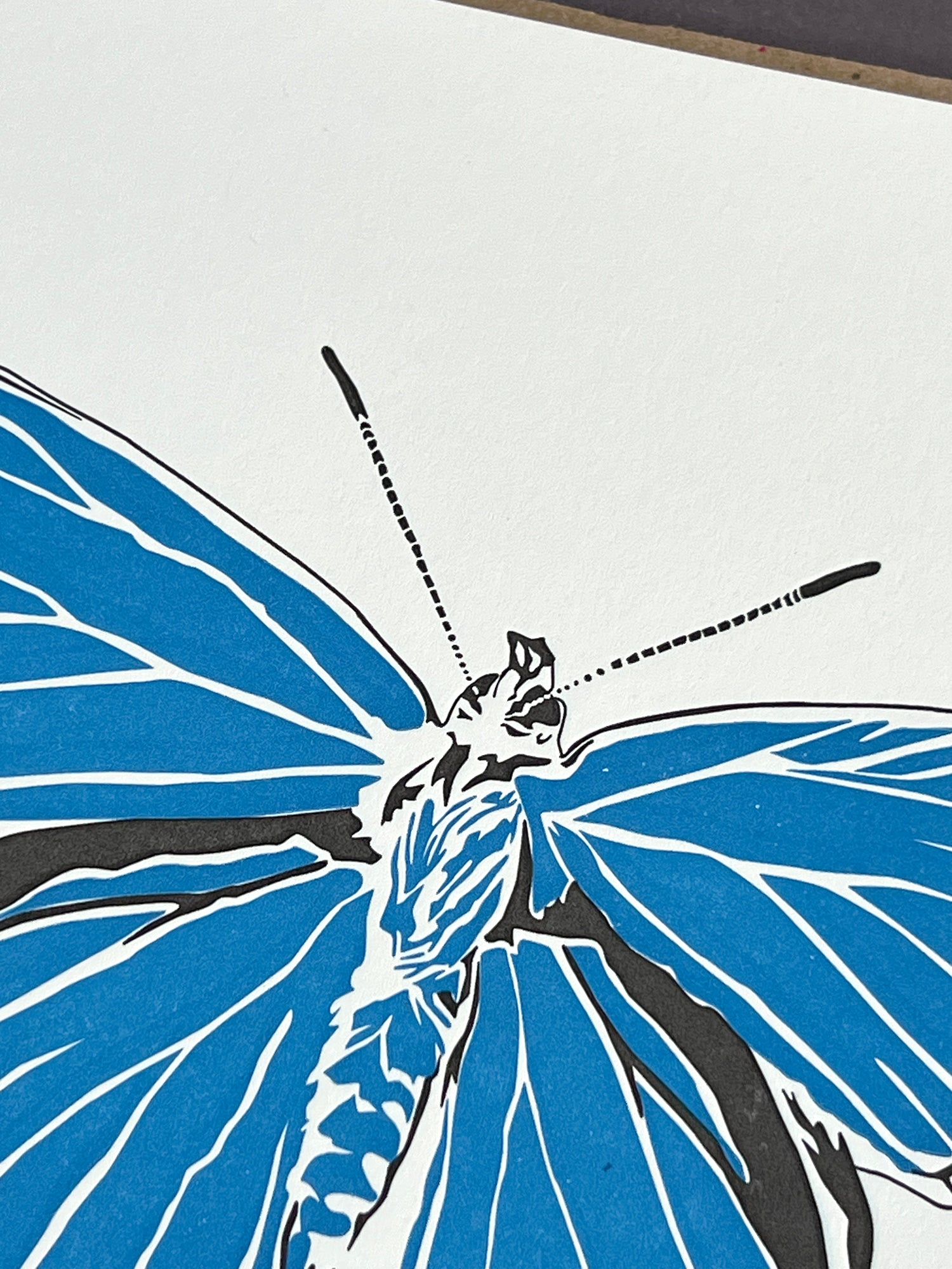 Adonis Blue Butterfly Letterpress Card
