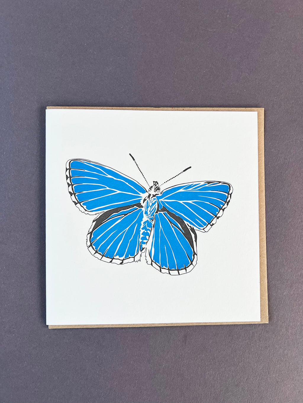 Adonis Blue Butterfly Letterpress Card