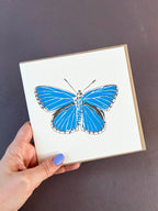 Adonis Blue Butterfly Letterpress Card
