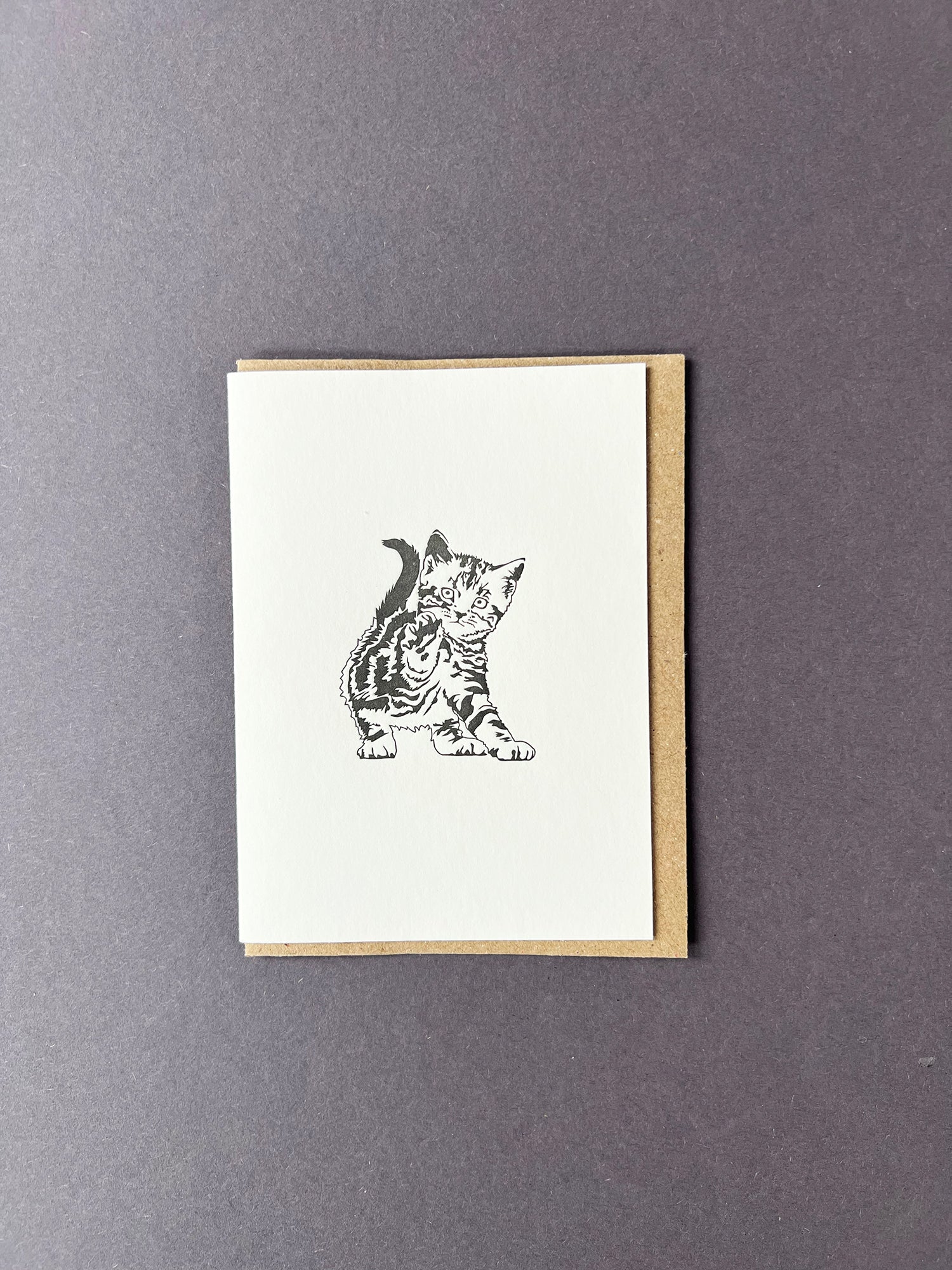 Harry Cat Card
