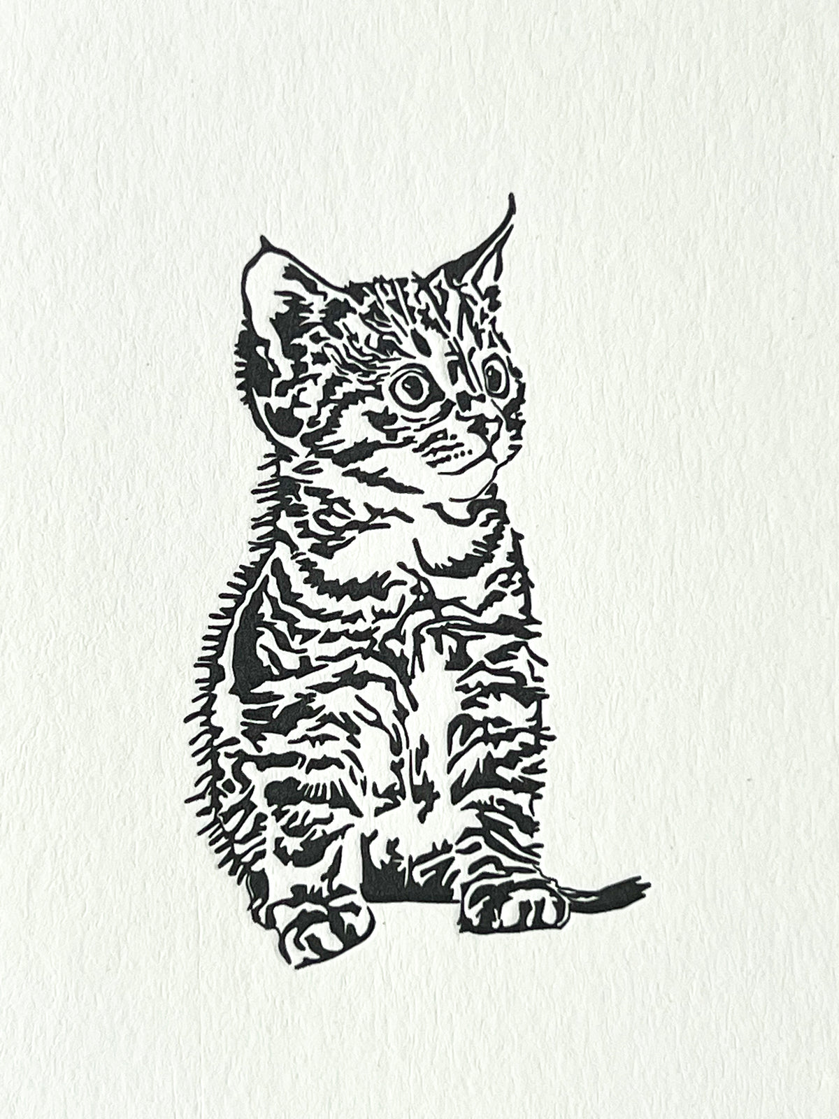 Pussycats Notecard Set | Set of 8