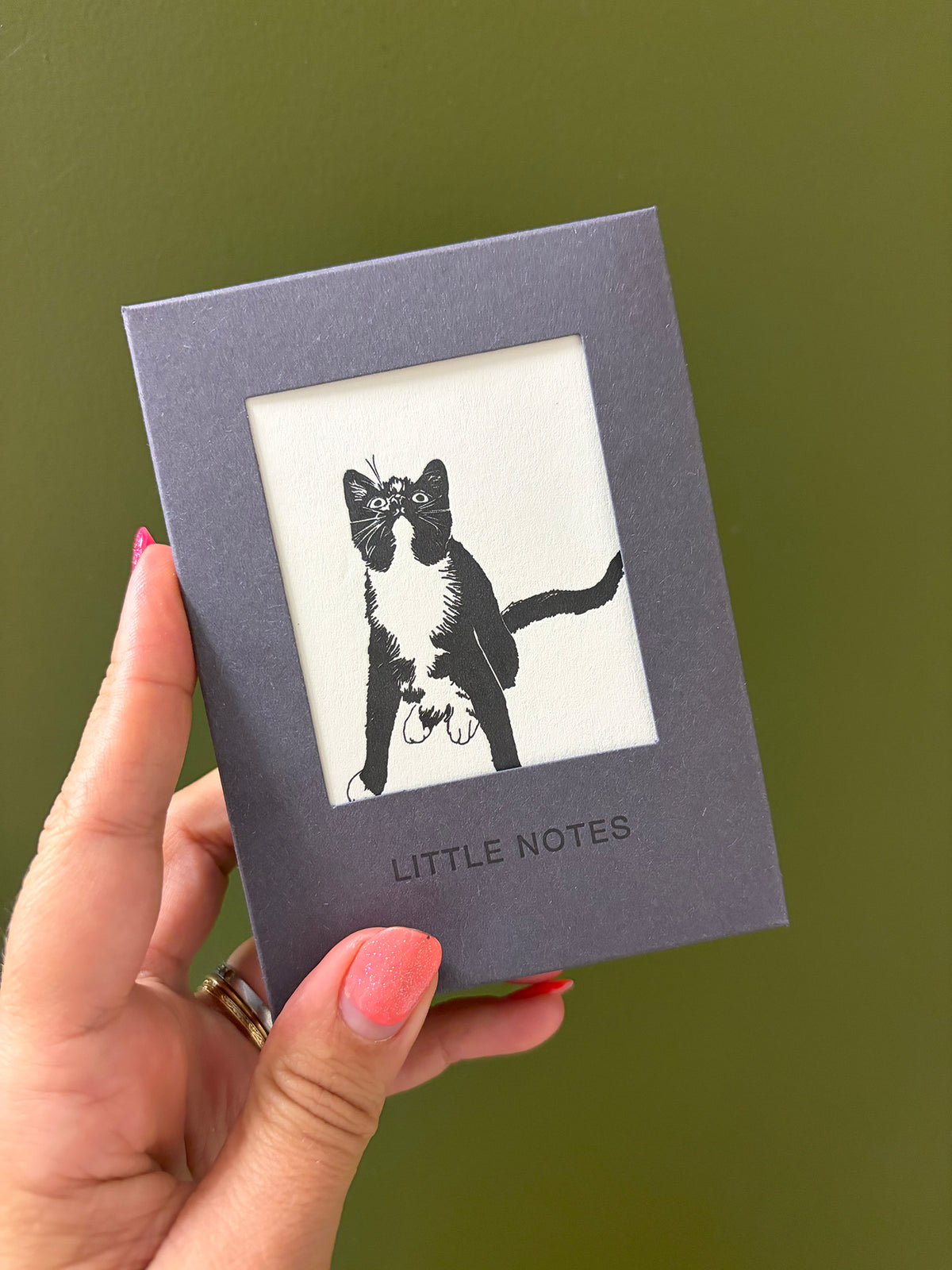 Pussycats Notecard Set | Set of 8