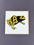 Poison Dart Frog Letterpress Card