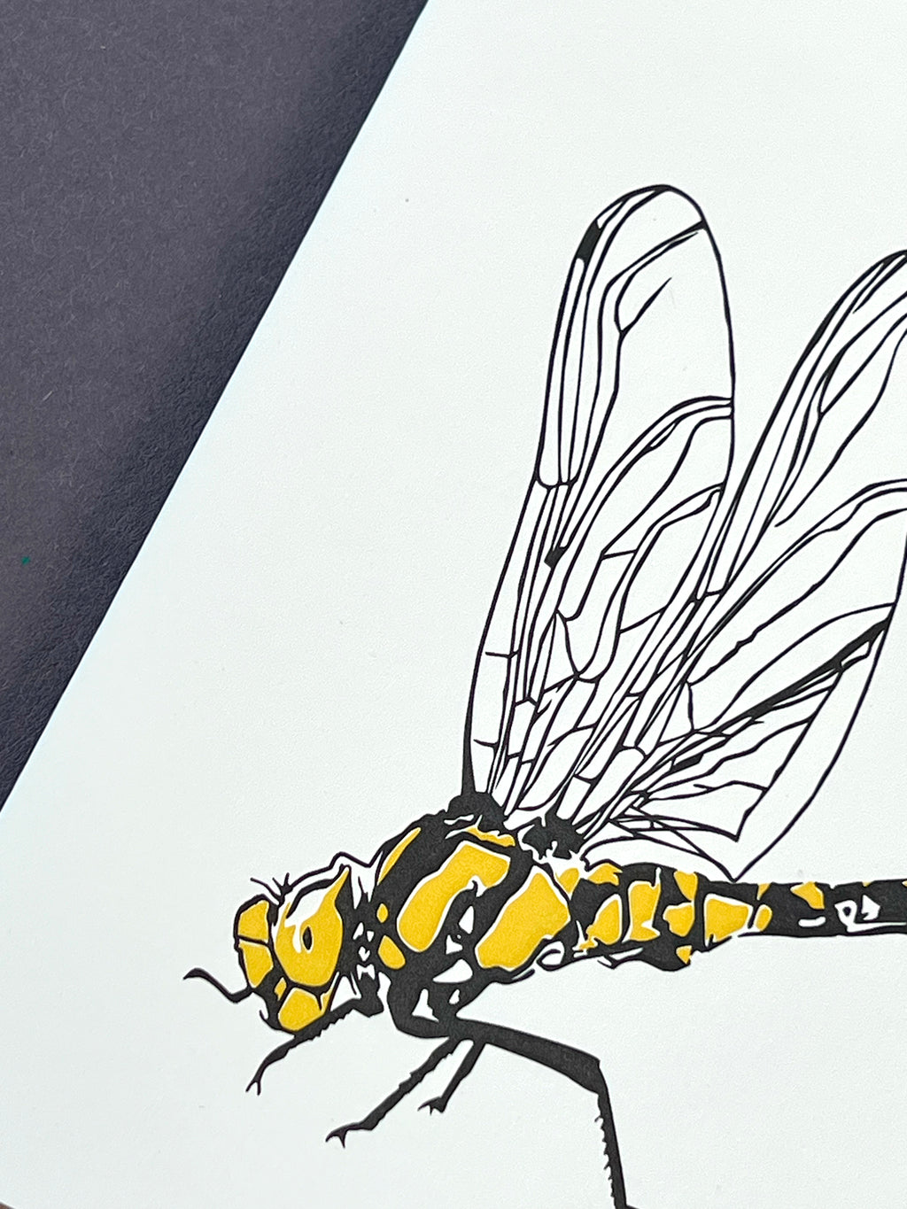 Dragonfly Letterpress Card