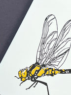 Dragonfly Letterpress Card