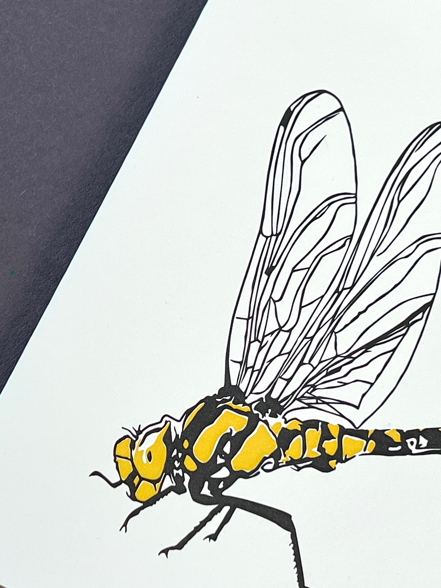 Dragonfly Letterpress Card