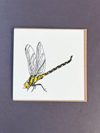 Dragonfly Letterpress Card