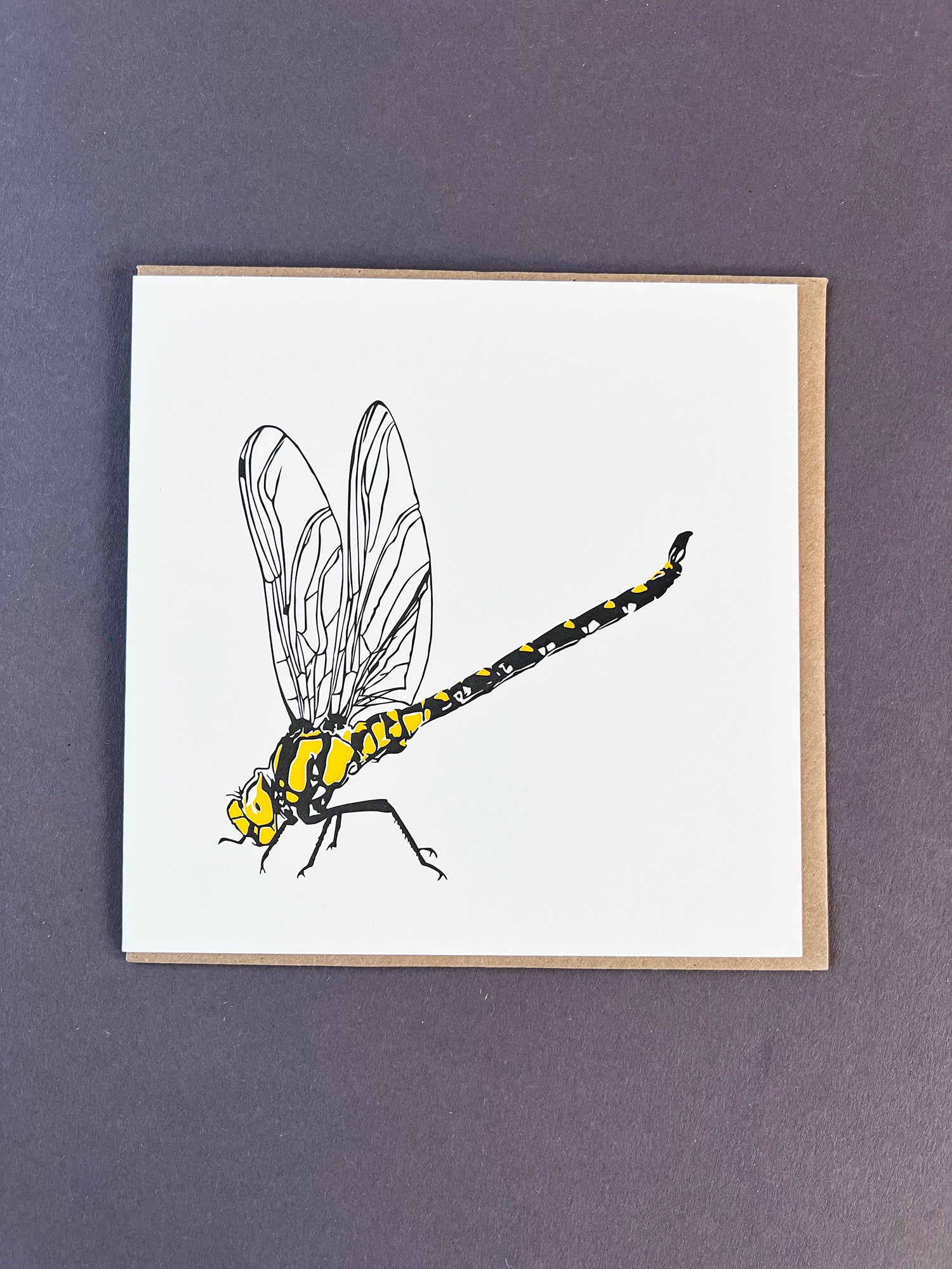 Dragonfly Letterpress Card