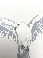 Dove letterpress Card