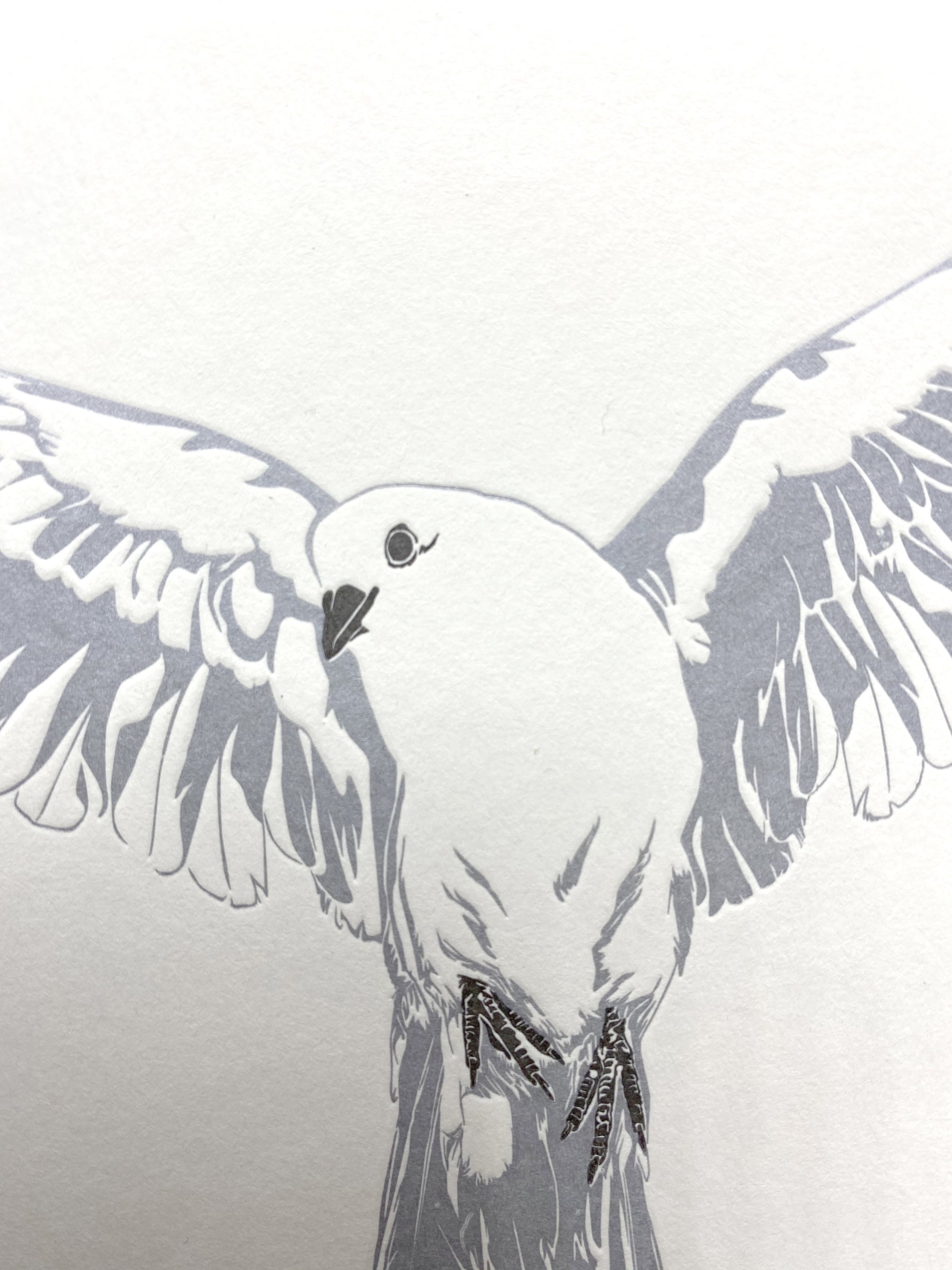 Dove letterpress Card