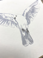 Dove letterpress Card